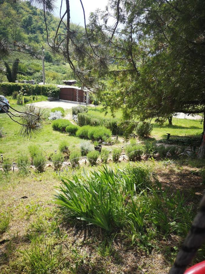 Apartman Snezana Jugovo Semêndria Exterior foto