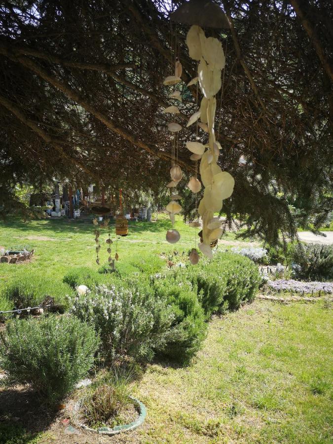Apartman Snezana Jugovo Semêndria Exterior foto